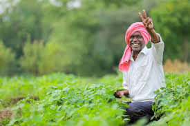 Farmer